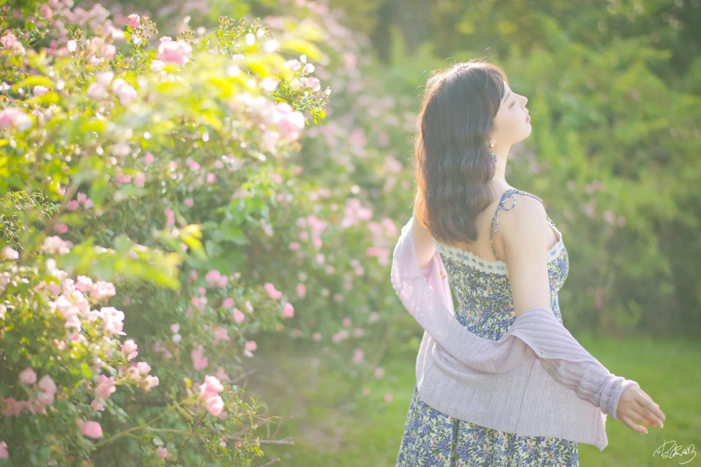 皮皮奶 - 蔷薇花 [37P-269MB] tg@simisebaisi 【丝足阁】008.webp